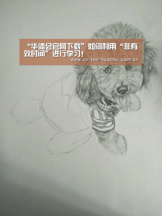 华体会官网下载