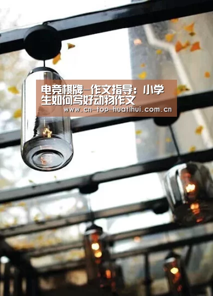 华体会官网下载